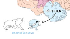 Teaser concert Le Cercle – captation de concert par Créatika